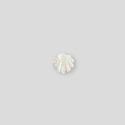 Sea shell | 31